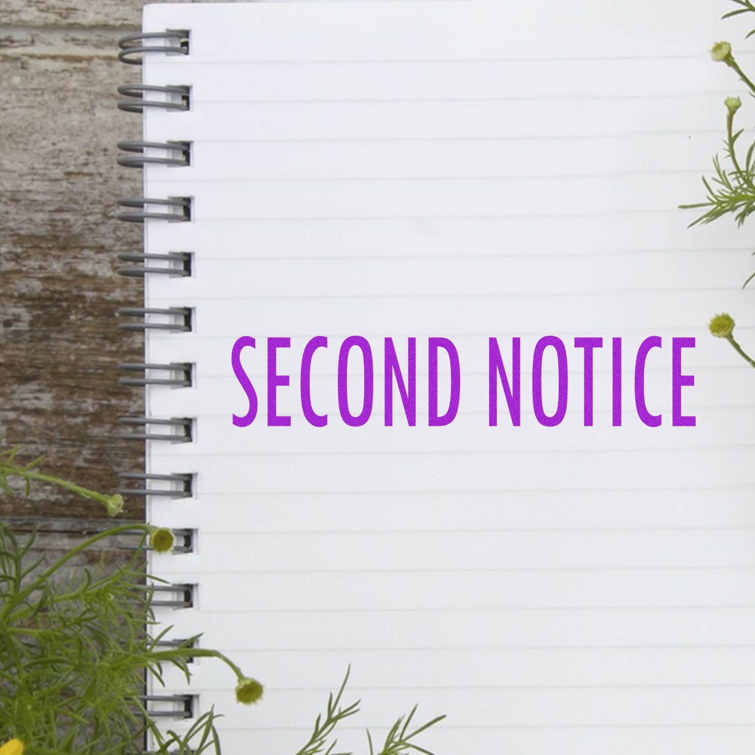 Second Notice text overlay on a white notebook wall with greenery, conveying a reminder message for overdue items.