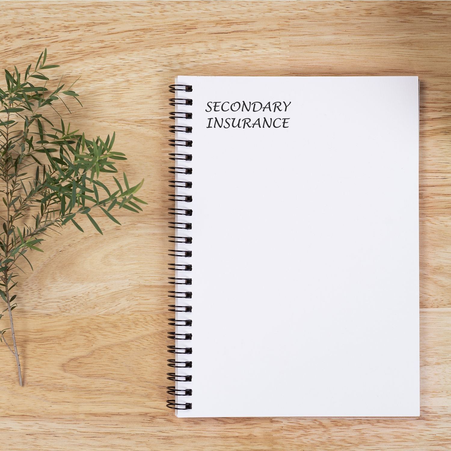 Notebook with Secondary Insurance text on a wooden desk, with green plant leaves.