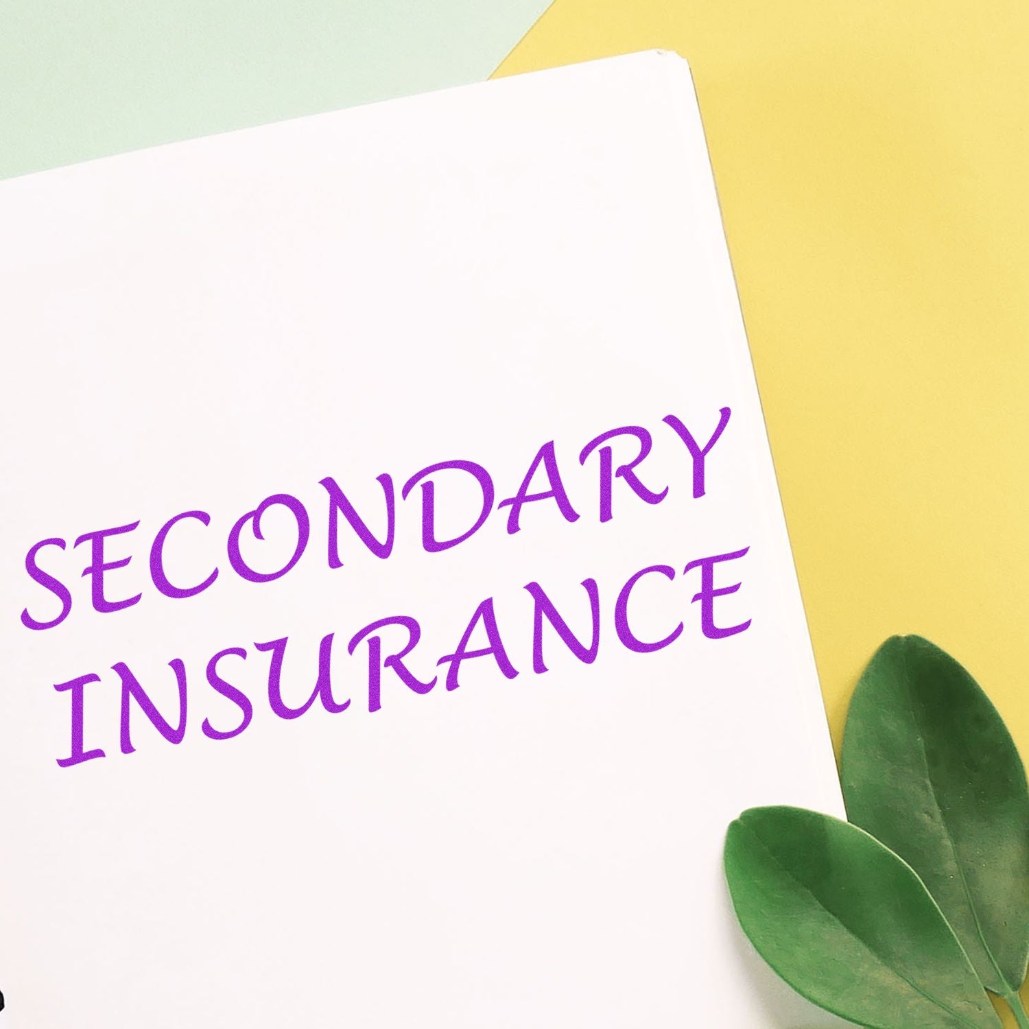 White paper with purple Secondary Insurance text on a pastel background with green leaves, ideal for insurance coverage and benefits concept.