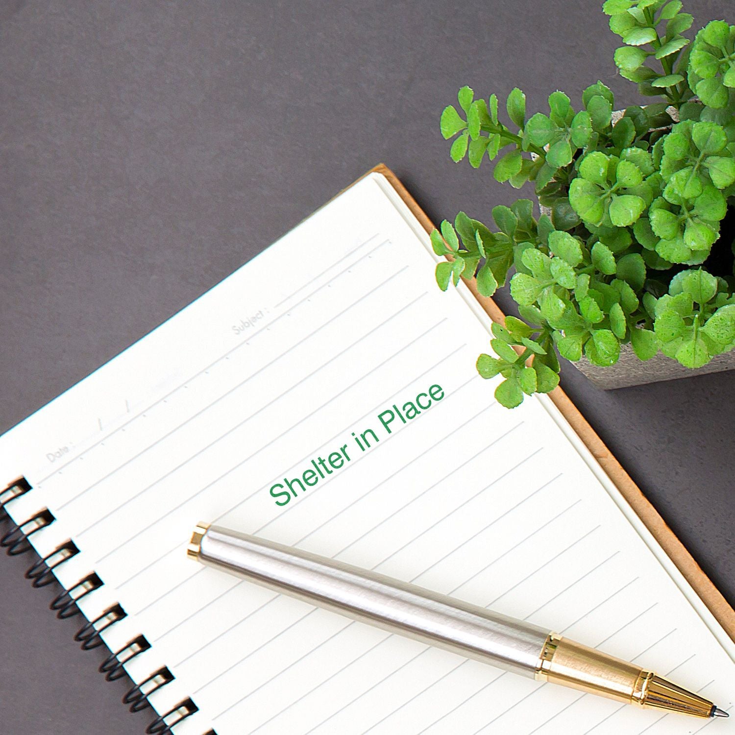Notebook with Shelter in Place text, silver pen, and green potted plant on a dark desk.