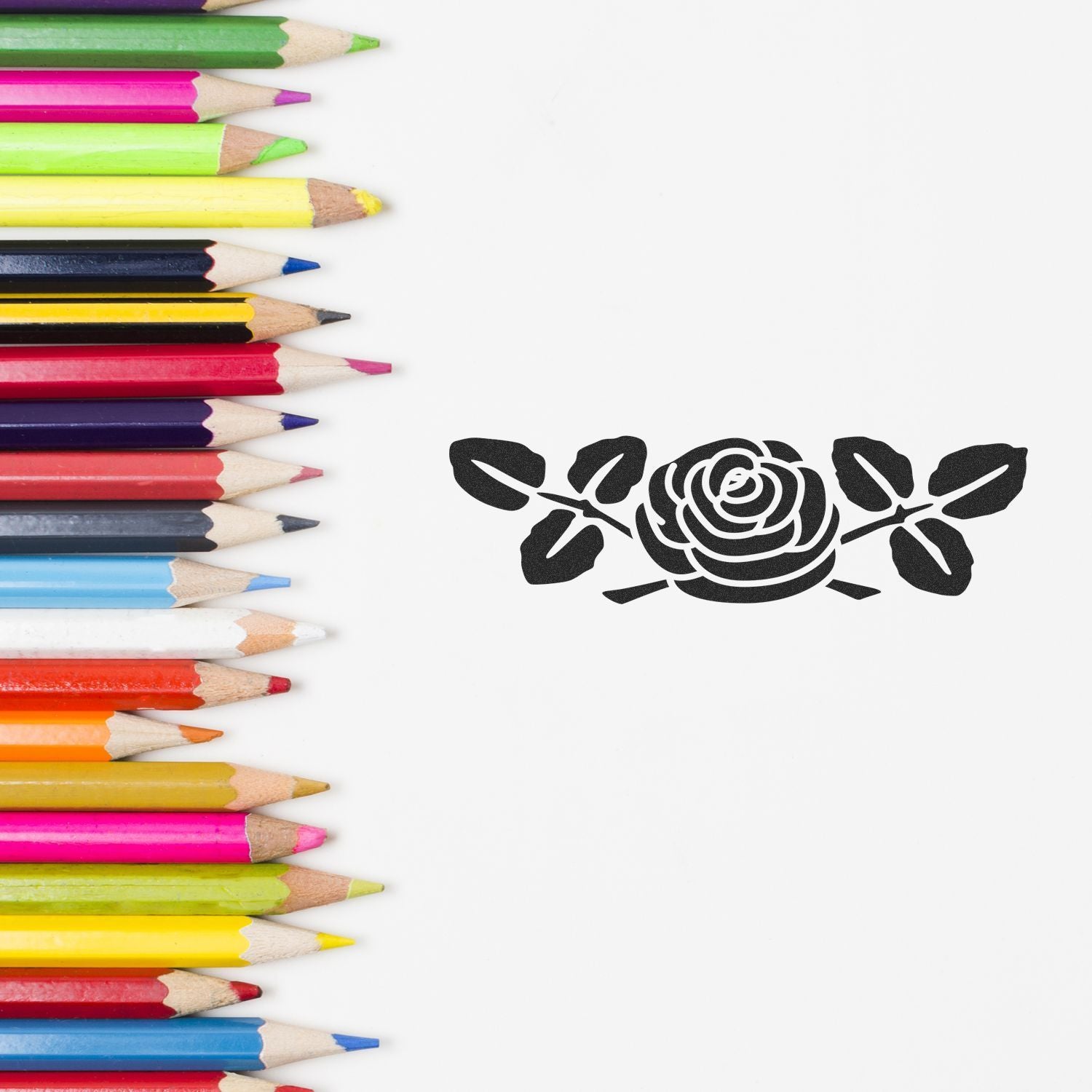Colorful colored pencils arranged on white background with black rose stencil design, creative art supplies composition.