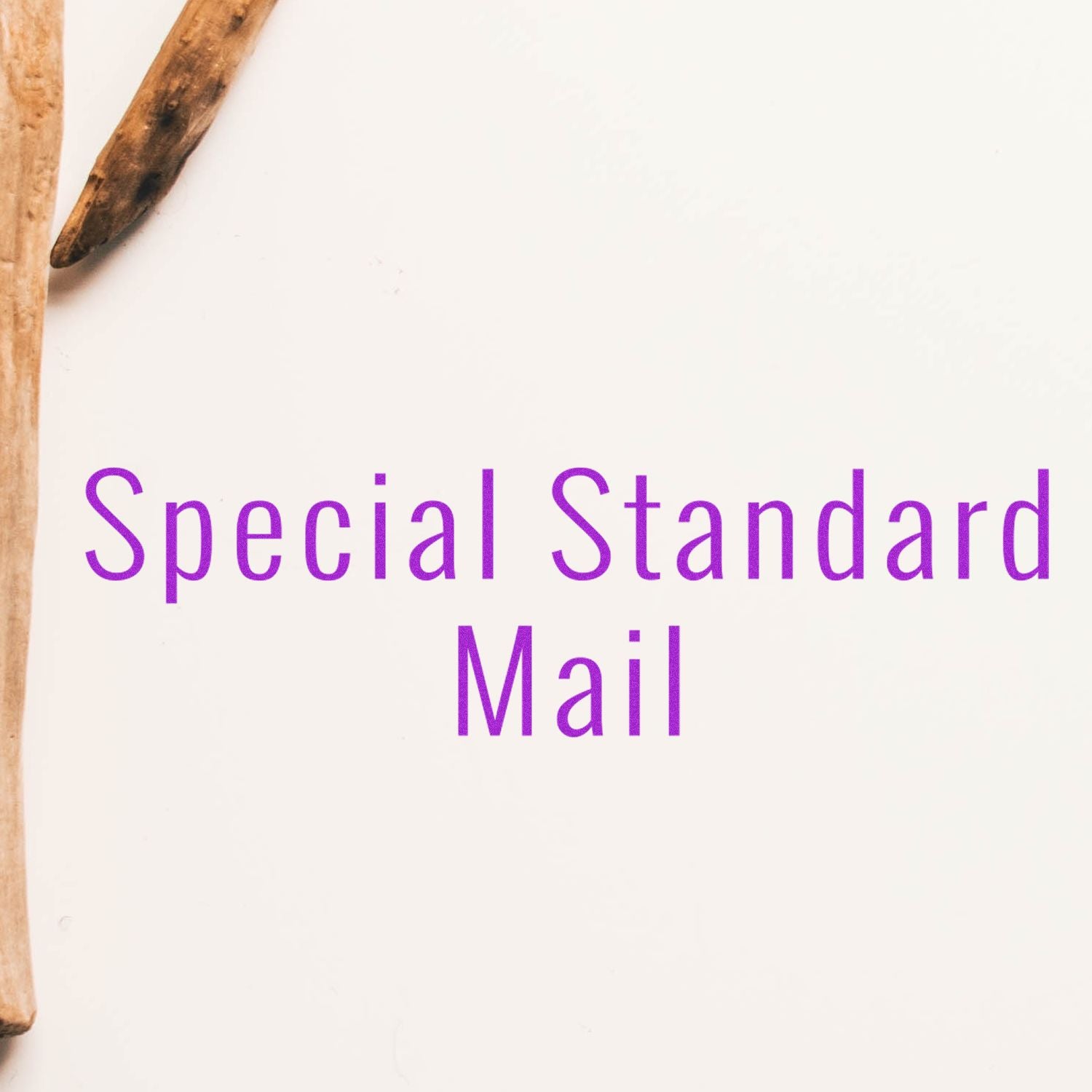 Special Standard Mail banner with purple text on off-white background, representing postal delivery service branding.