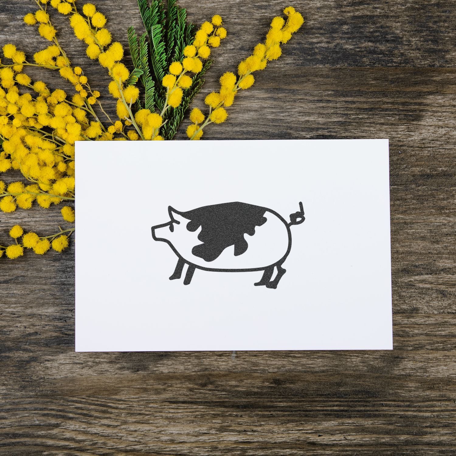 Black pig silhouette on a white card with yellow mimosa flowers on a rustic wooden background.