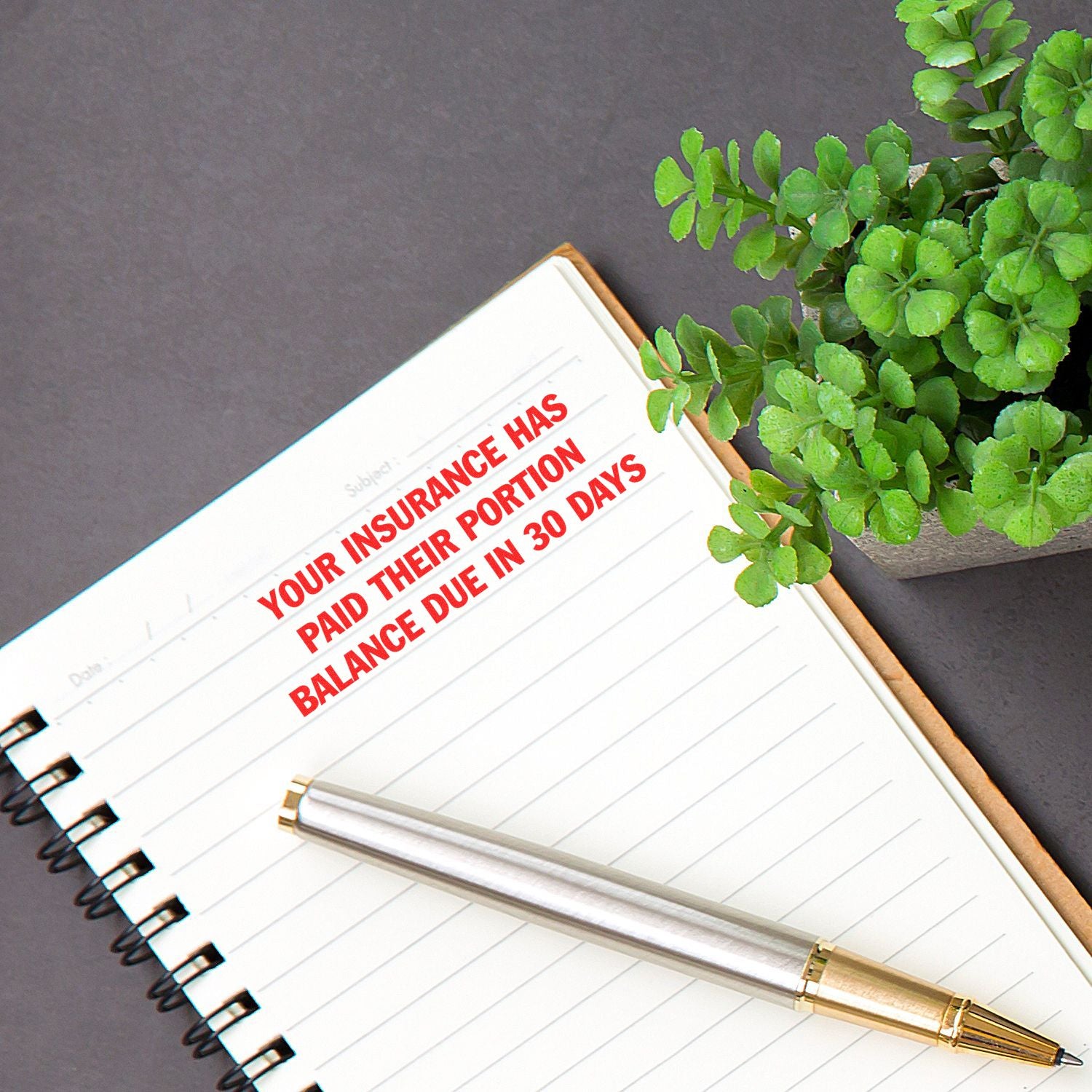 Notebook with insurance balance due notice, pen, and green plant on desk background