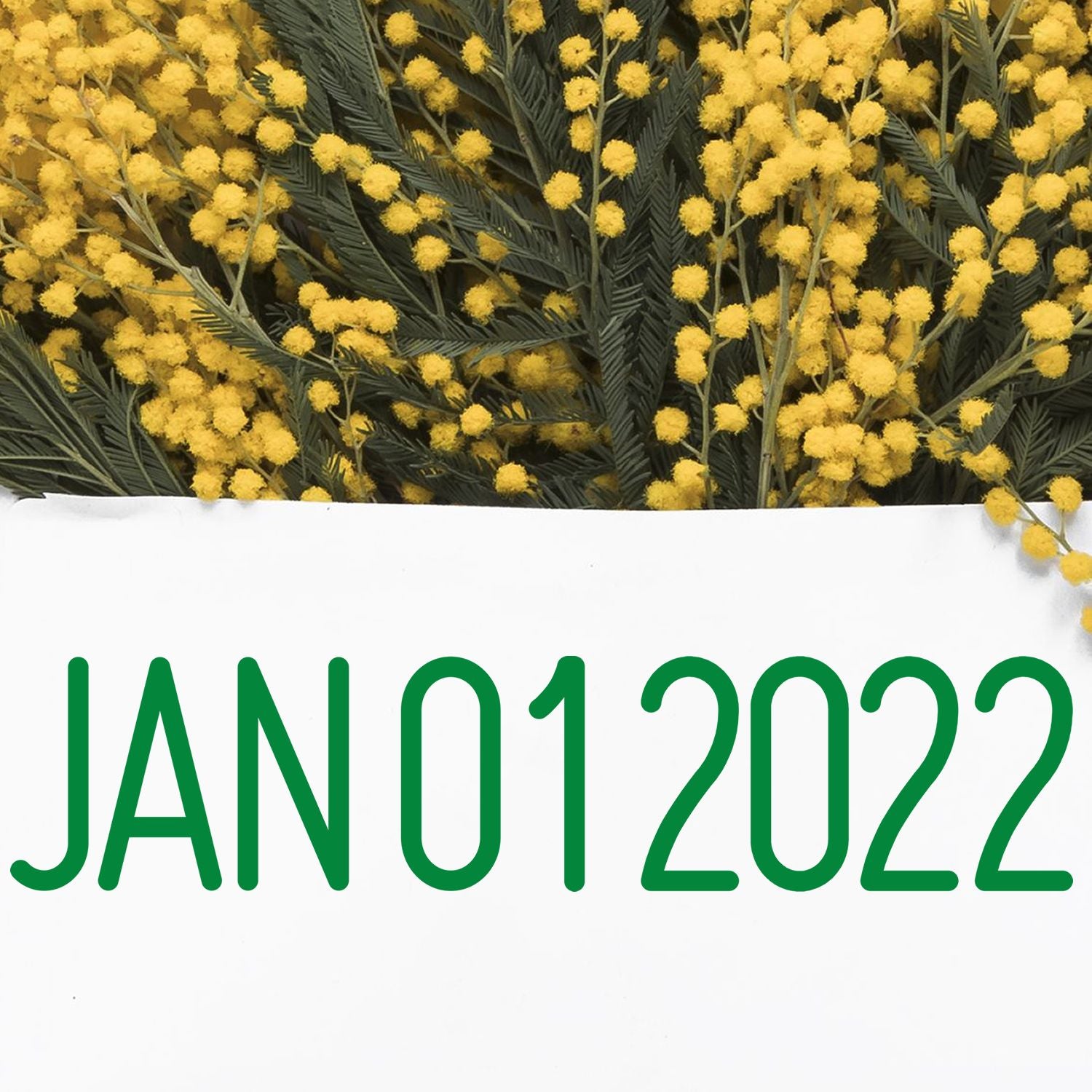 Jan 01 2022 calendar design with yellow mimosa flowers and green text on white background