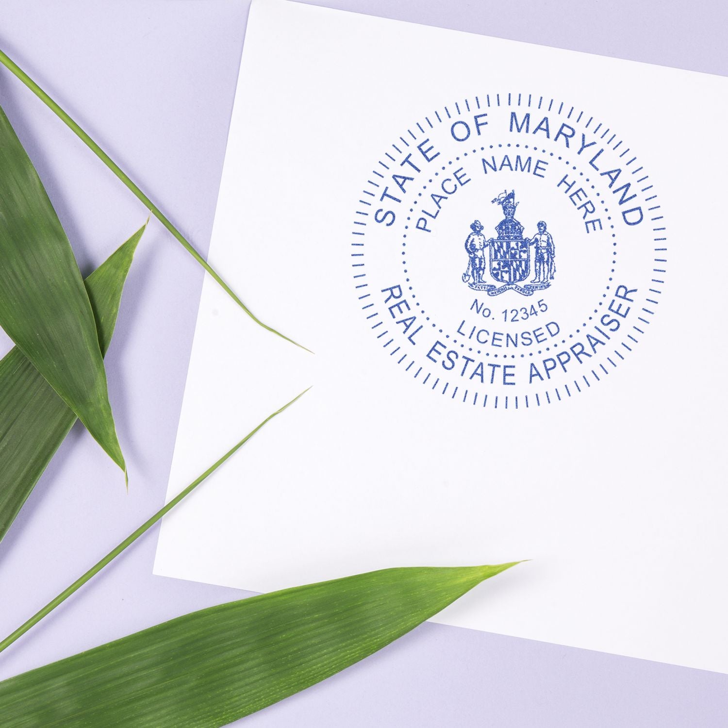 Maryland real estate appraiser license certificate with green tropical leaves on a pastel background.