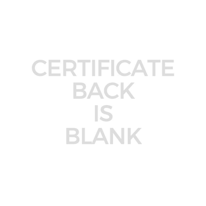 Certificate back page is blank placeholder, indicating no information or print on the documents reverse side.