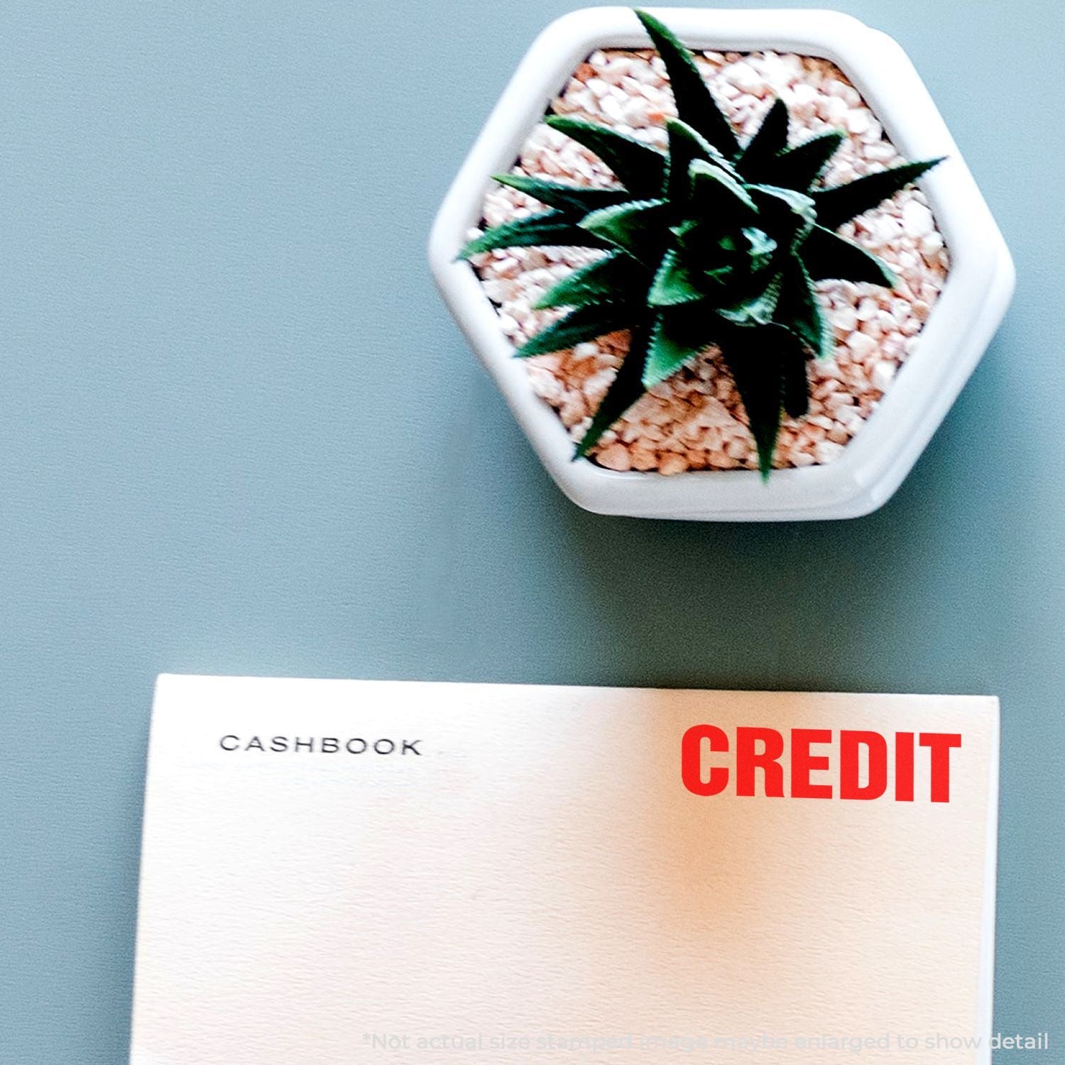 Cashbook credit concept photo: white money book labeled CASHBOOK with CREDIT sign beside green plant in pot for personal finance.