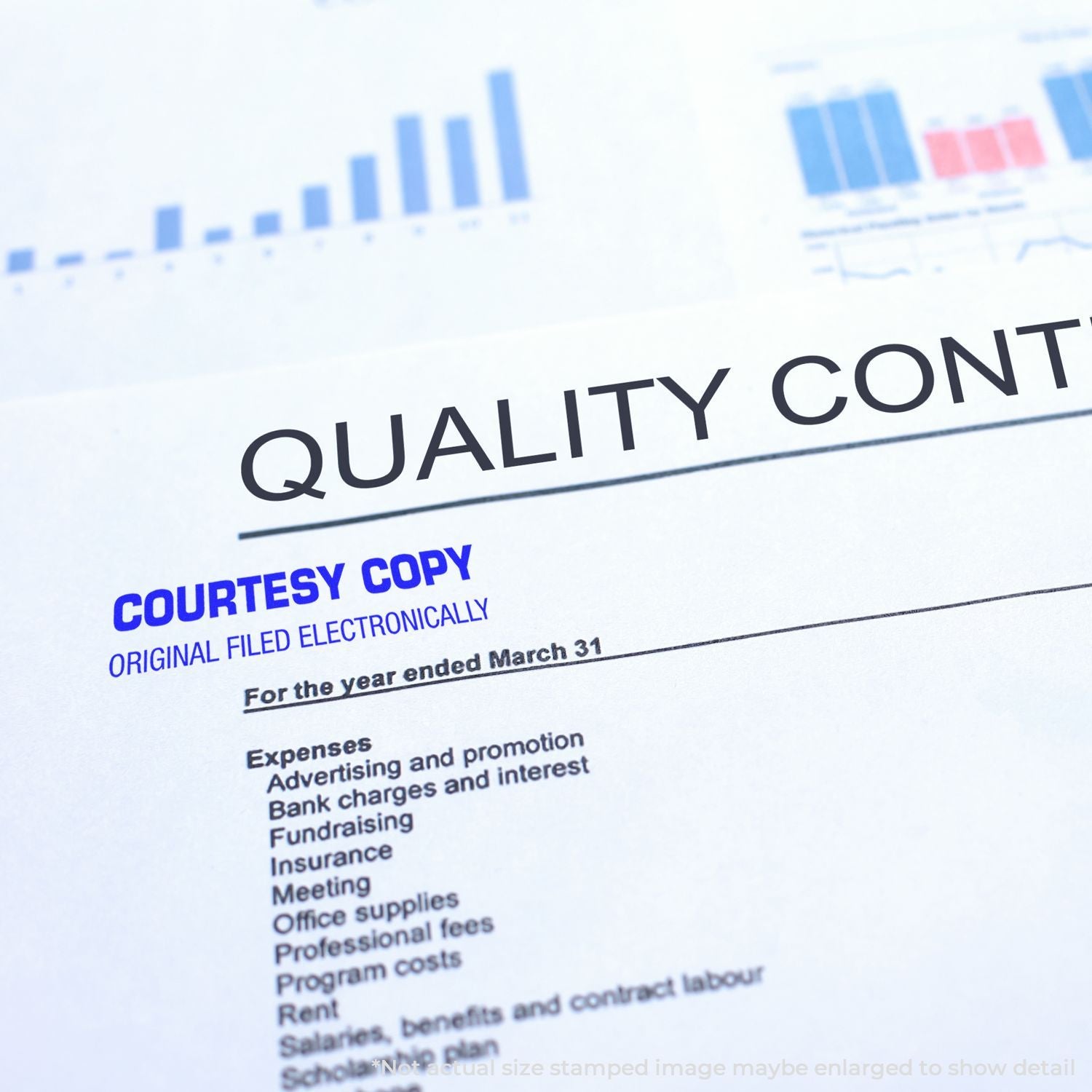 Quality content courtesy copy of original filed electronically financial report listing expenses and bank charges for year ended March 31.