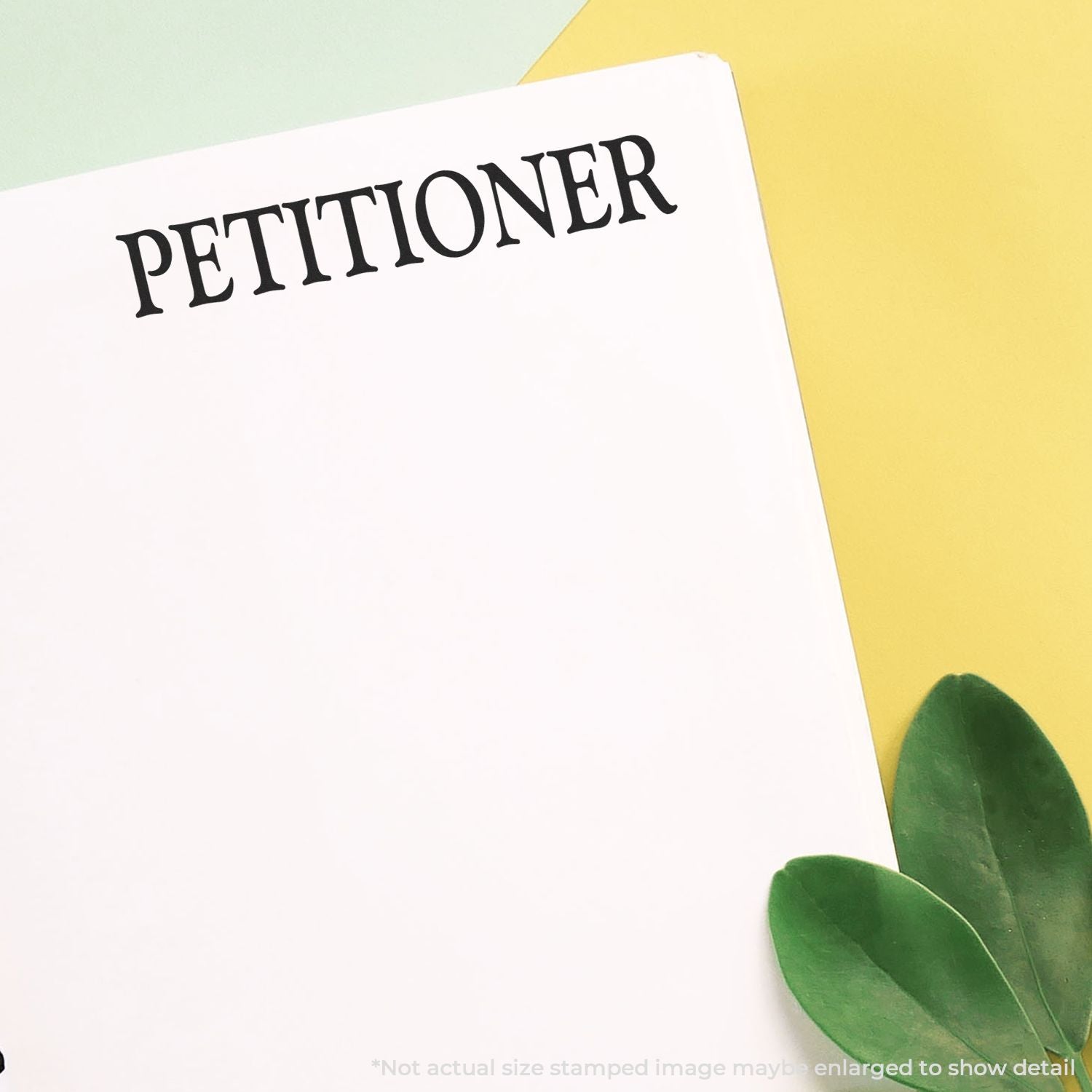 Petitioner concept card with the word PETITIONER on a bright background, representing legal filing and court paperwork.