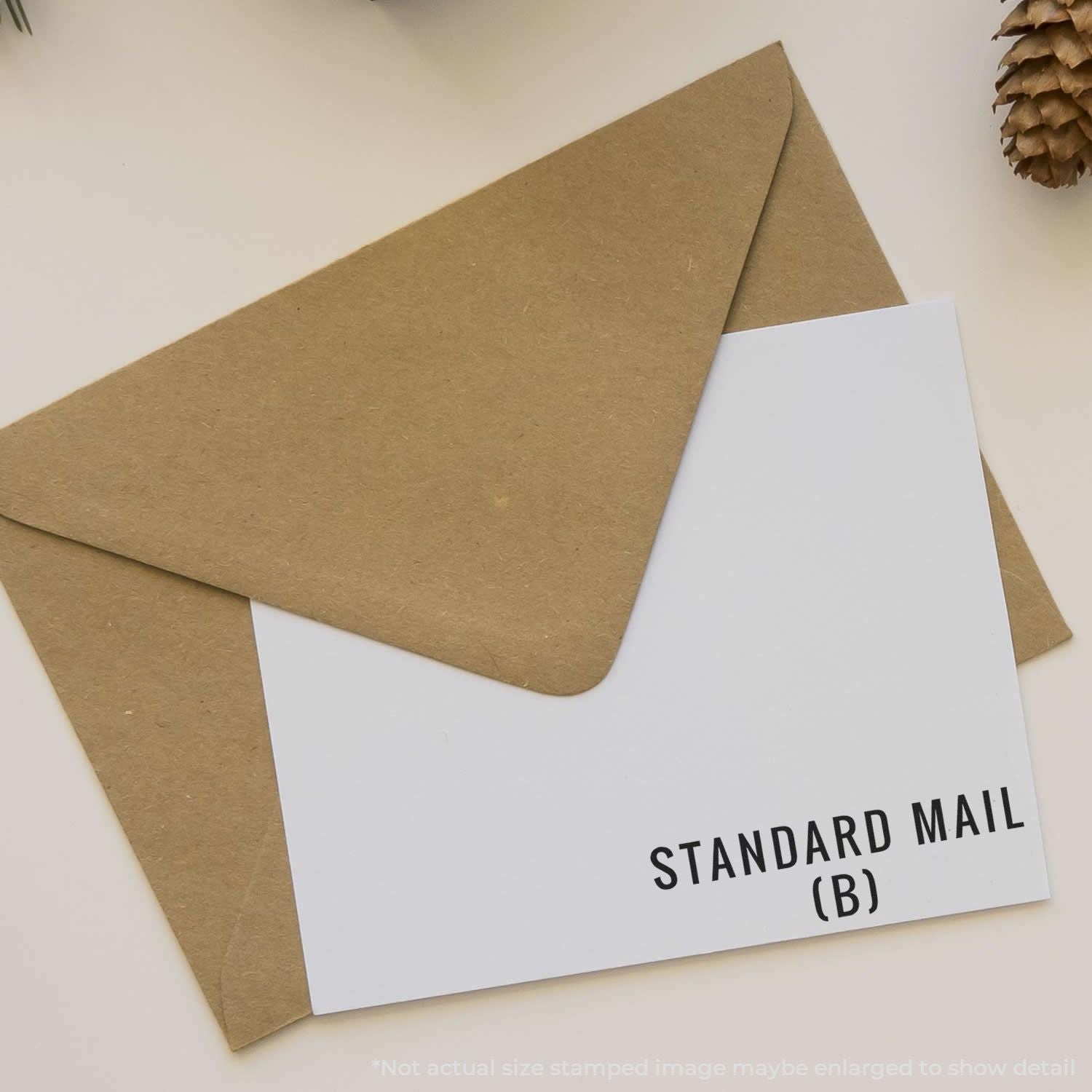 Brown kraft envelope with Standard Mail (B) label, showing postal shipping packaging for letters and documents.