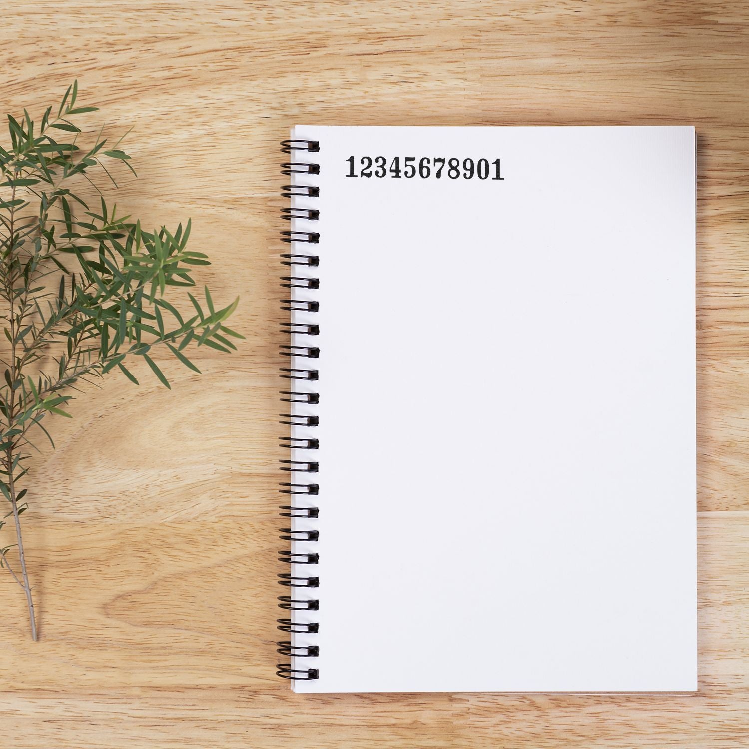 Blank spiral notebook on wooden desk with green plant leaves, top view with numbered page header.