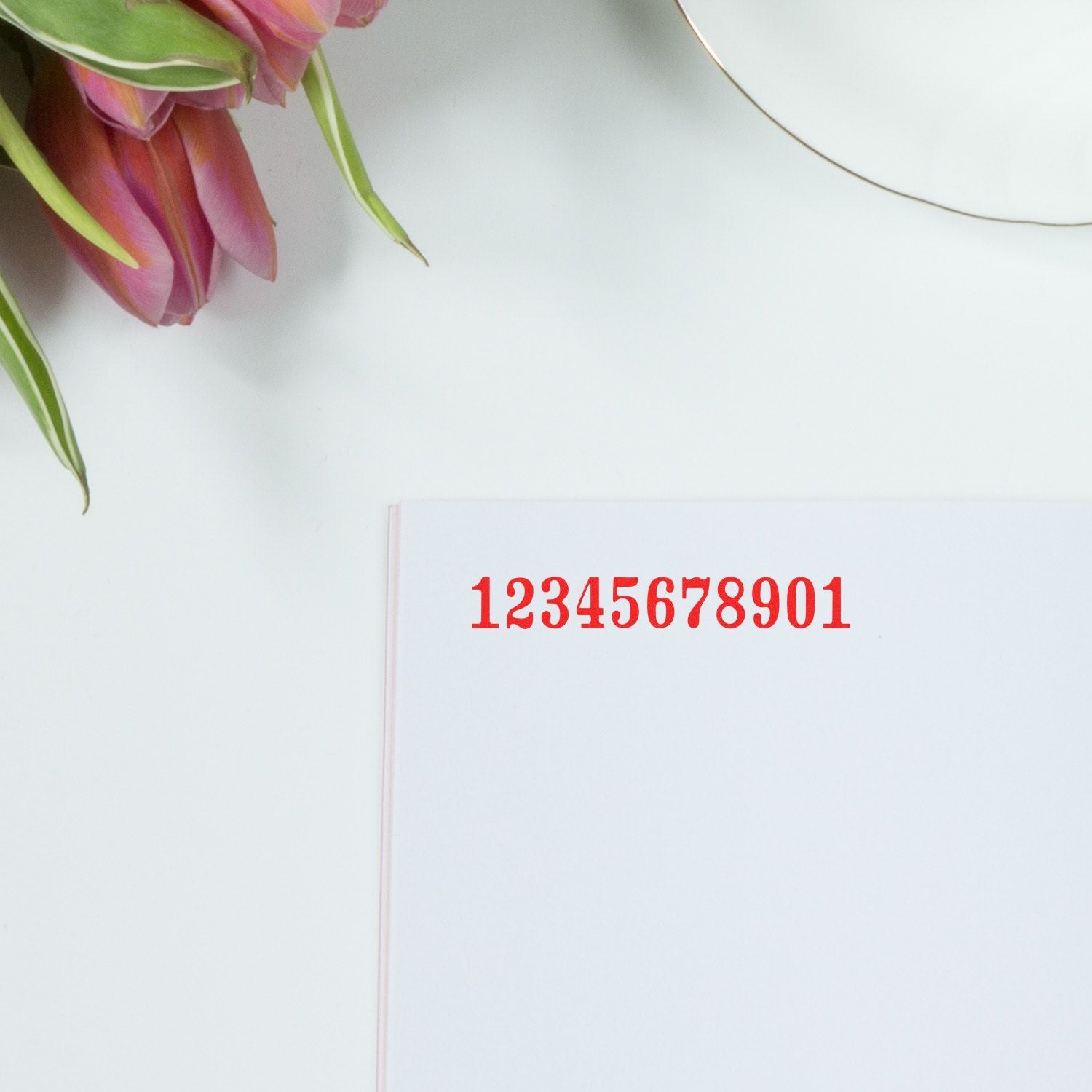 Wide Frame Reiner Numbering Machine Model 326 In Use 2