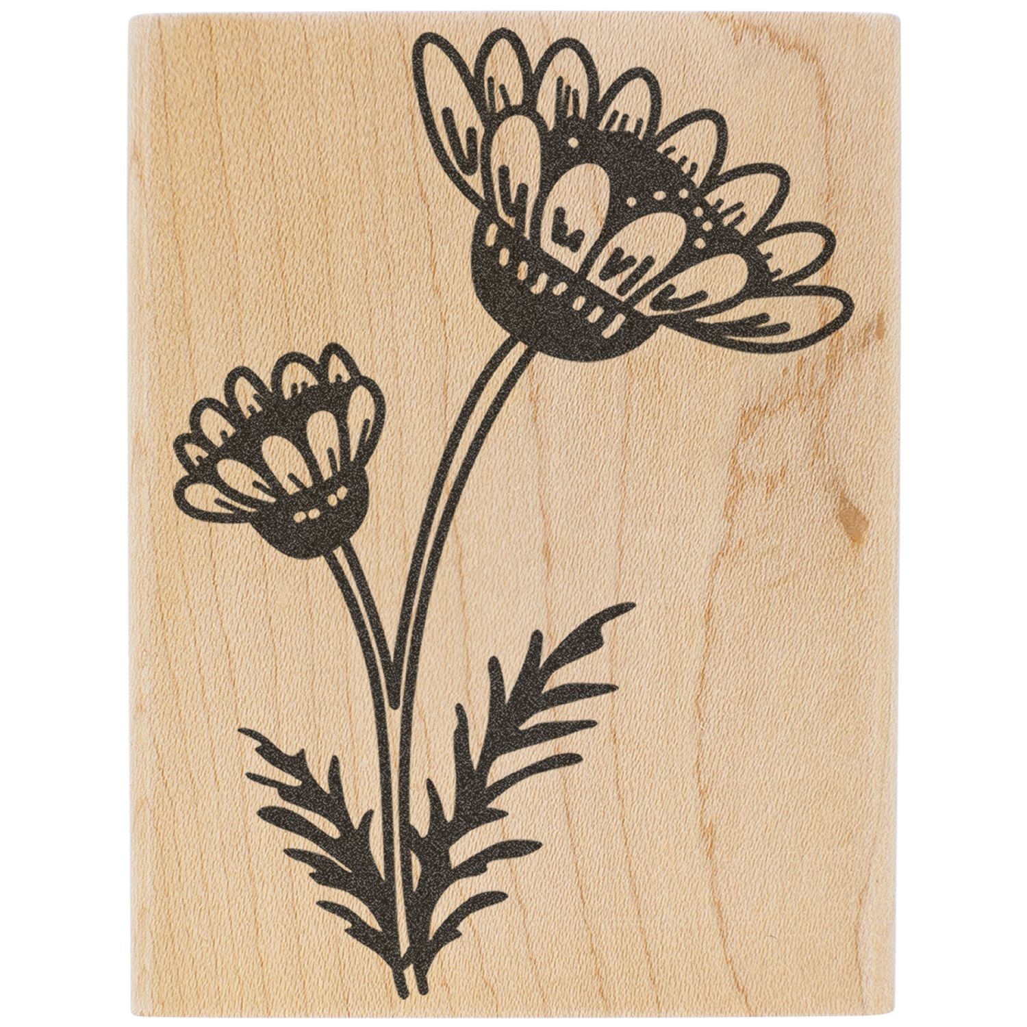Black floral line art on natural wood background, rustic botanical decor design.
