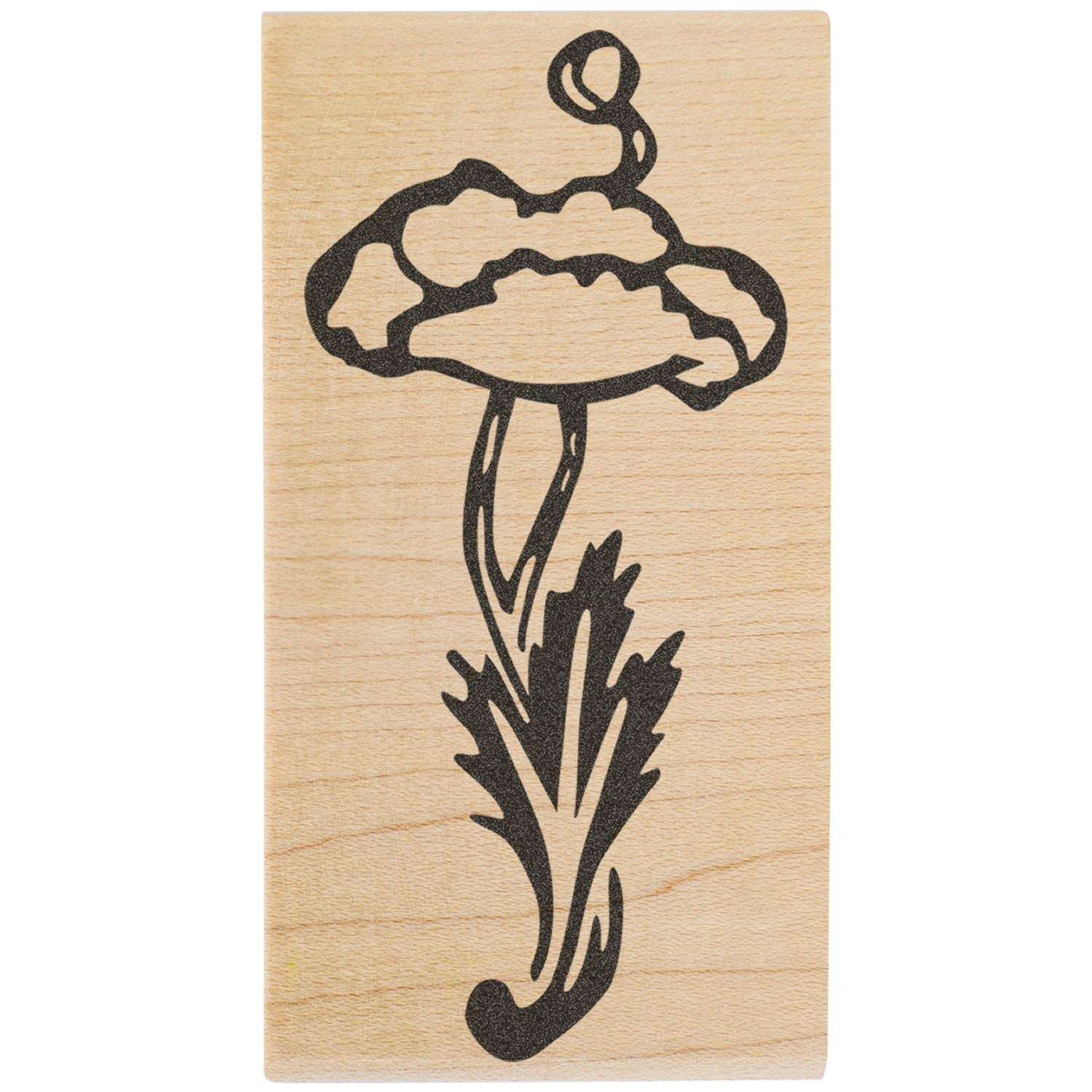 Laser engraved mushroom design on a wooden plaque, black botanical line art on natural wood surface
